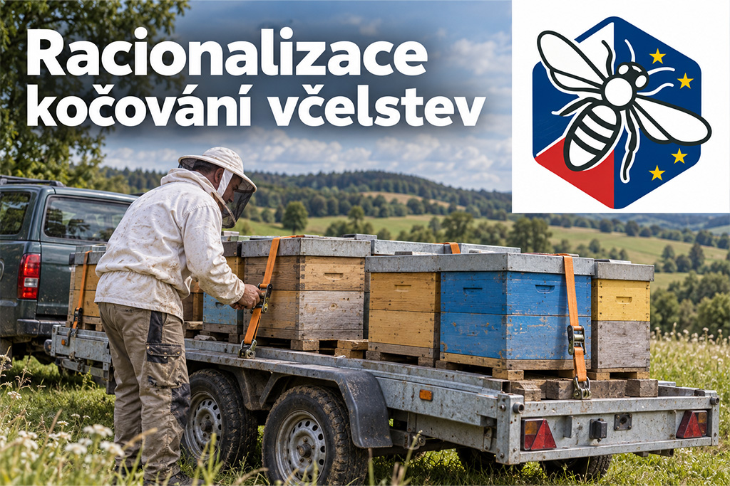Včelař upevňuje úly popruhy na přívěsu připraveném k převozu