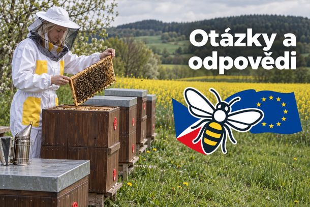 Včelařka v bílém ochranném obleku drží rámek u úlů v rozkvetlé krajině